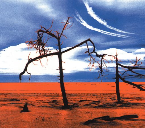 ALTYNAÏ CROSSROADS UN