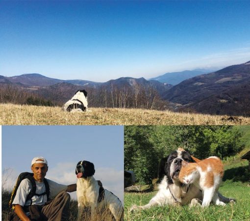 PIOU Piano Works for my Dog – Image 2